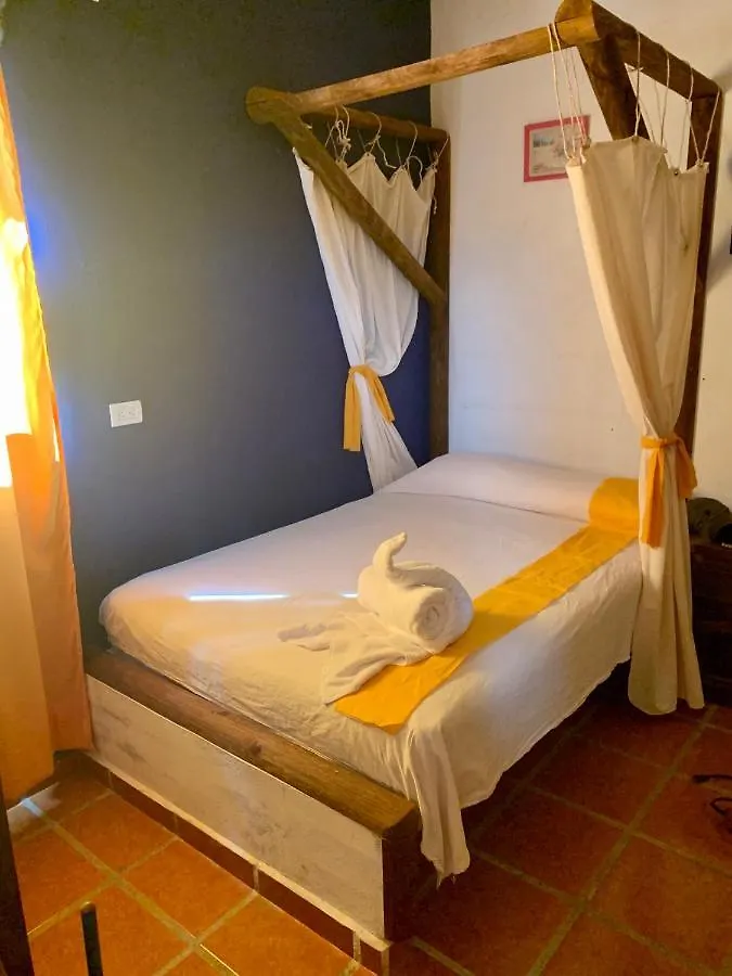 Mexicasa Cancun Hostel